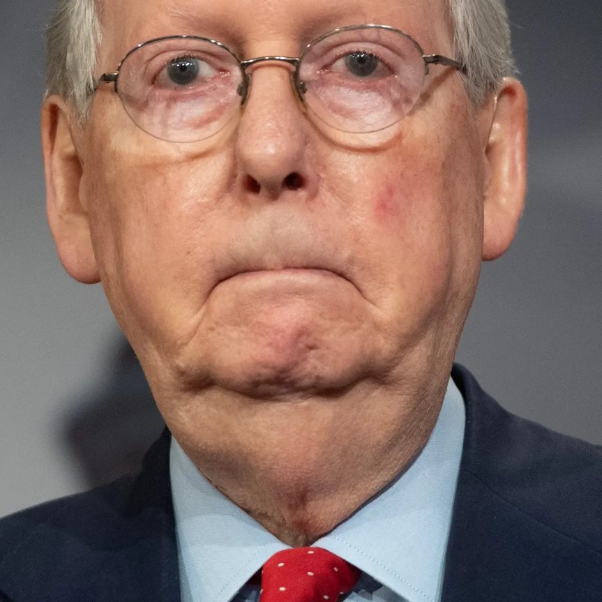 Mitch McConnell Questions the Patriotism of Americans Peacefully Protesting Outside Homes of Supreme Court Justices Poised to Overturn Protection of Basic Privacy and Bodily Autonomy After Being Installed Through Extreme Political Corruption With His Own Help at the Appointment of a President Who Blatantly Attempted to Overthrow the Government, Which McConnell Still Openly Supports